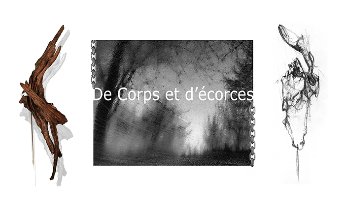 Présentation de : De corps et d'éccorces 